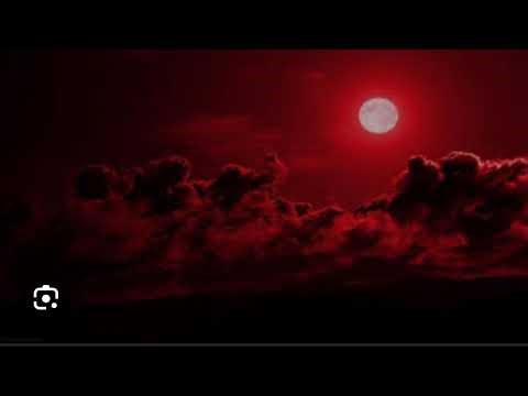 Becoming a Psychonaut!