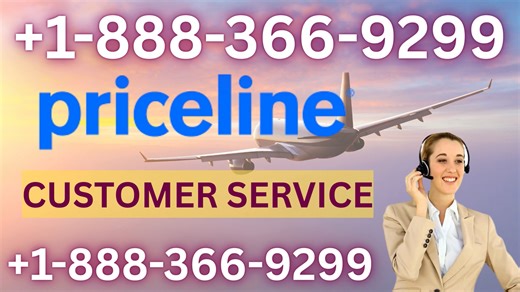 Priceline™ Customer Service Complete Guide || Step-by-Step Help & Support 24/7 Priceline