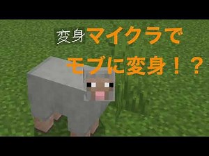 [マイクラPE] コマンド初心者でもできる！モブに変身！？