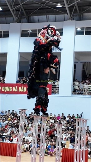 múa lân đẳng cấp thế giới 2026 #liondance #chinesenewyear #cny2026 #mualanhaynhat2026
