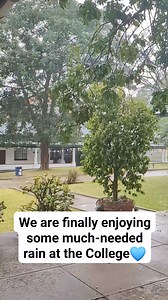 7K views · 229 reactions | #falconcollege #herecomestherain | Falcon College | Facebook