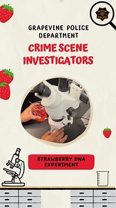 6.1K views · 18 reactions | BREAKING: DNA FOUND… in a strawberry?! No...
