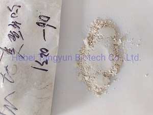 [Hot Item] Cucumber Downy Mildew Root Rot Powdery Mildew Soil Fungicide Thiram50% Wp