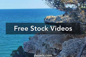 Wildlife Adventure Videos, Download The BEST Free 4k Stock Video Footage & Wildlife Adventure HD Video Clips