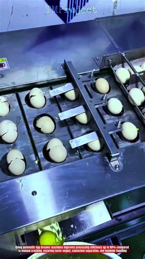 Stop Manual Egg Cracking, Use Automatic Egg Breaker Machine to Process Liquid Eggs