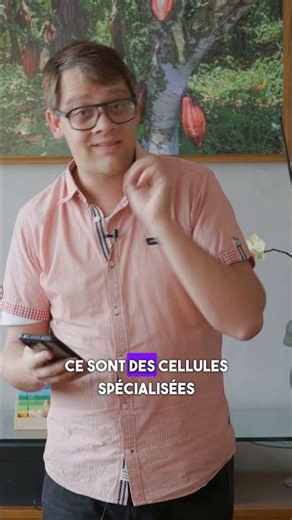 Types of collagen explained