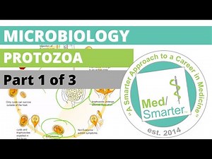Protozoa | Microbiology | USMLE STEP 1 | Part 1 of 3