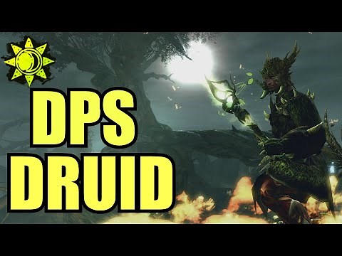 Condition DPS Druid - Guild Wars 2 PvE Ranger Raid/Fractal Build Guide