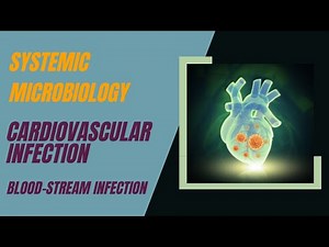 BLOOD STREAM INFECTION |CARDIO VASCULAR INFECTION |MICROBIOLOGY|‪@MedifyMBBS‬