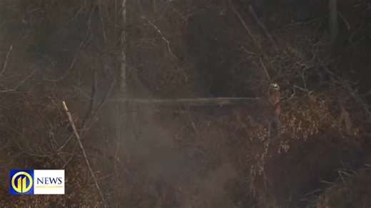 A technology developed in the Pittsburgh area could be the next big thing when it comes to fighting wildfires. >>> wpxi.tv/3TLtvXW | WPXI-TV Pittsburgh