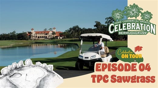 Celebration on Tour | TPC Sawgrass | Sod Solutions