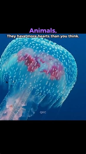 Animals That Are Built Different With Extra Hearts😱💀#science #shorts #animals