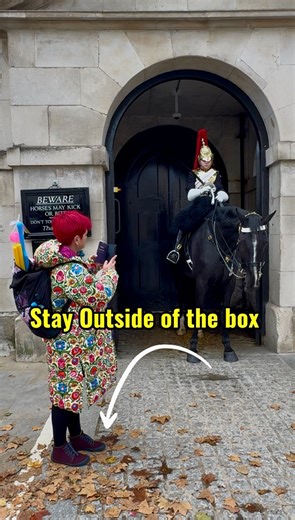 A woman bravely stepped in front of the horse guard to capture a close-up photo of the majestic horses and their riders. 💂🐎 #reelsviralシfb #fyp #kingsguard #britisharmy #highlights | King Guards horses England