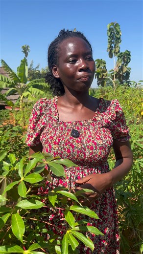 African nyako on Instagram: "Village life in Northen uganda"