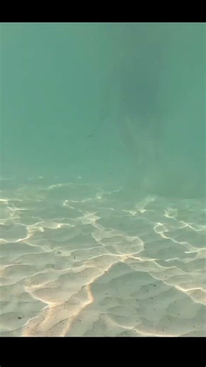 Esto pasa en MÉXICO y casi nadie habla de ello #world #tourism #travel #beach #mexico #noticias