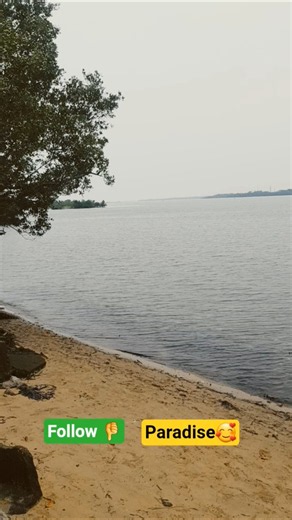 Island Paradise.#followersmore