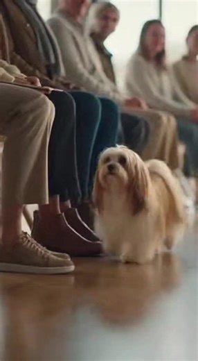 Real Shelter Dog Adoption Stories 😭🐶 | Heartbreaking Connections #rescuedog #adoption #viral #pets #fyp #love #heartwarming #shorts" | Pet Adoption Miracles