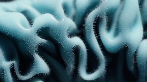 Echoic Audio on Instagram: "We’re delighted to share our Sound Design Reel from Echoic’s recent rebrand A showcase of our exploration into the art of immersive sound, from the tactile and visceral to the conceptual and abstract, bringing visuals to life A massive thank you to all our clients for all of the visually stunning collaborations Check out the new website and other reels via the link in the bio #reels #musicstudio #musicproduction #soundformotion #soundforpicture #foley #musicforfilm #m