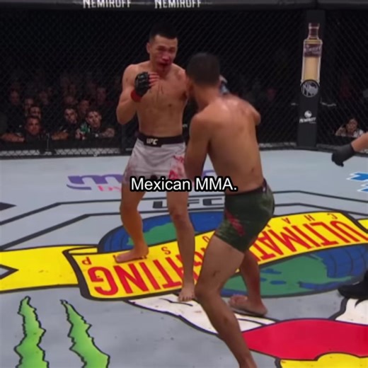Mexican MMA. 🇲🇽🔥👊