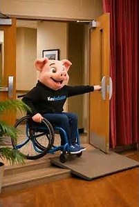 Meet Hammson Pig – Charismatic Wheelchair Pig & Talented Pianist Leader