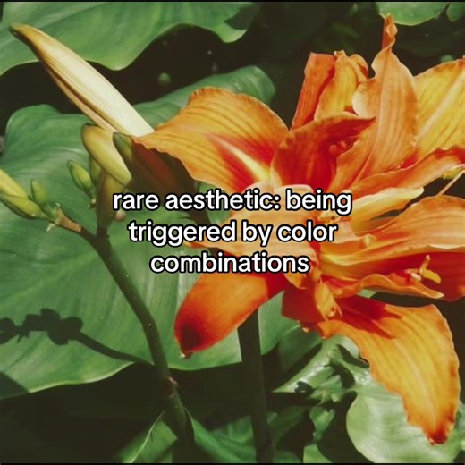 It’s always some form of green or blue #tiktok #fypシ゚viral #dsmp #strangerthings #bakudeku