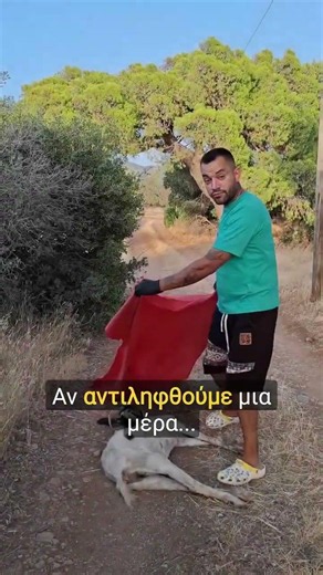 Subscribe ♥️ Τρόποι στήριξης εδω www.ethicalfarm.org #ethicalfarm #rescue