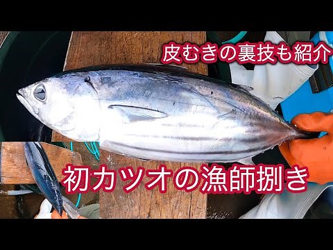 初カツオの捌き方を紹介、皮の剥がし方の裏技紹介します