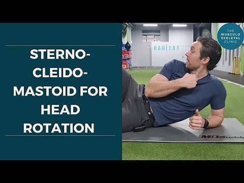 Strengthen your sternocleidomastoid for head rotation | The MSK Physio