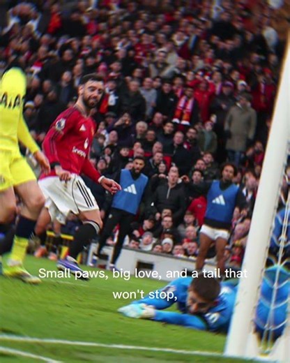 Manchester United’s Captain | The "Chaotic" Edit Template