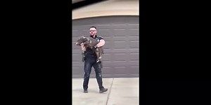 Police officer catches pig on the loose in neighborhood