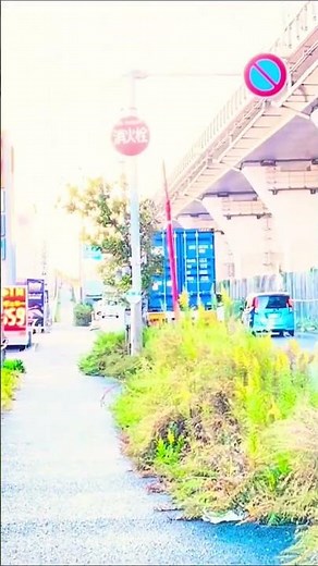 迫力満点‼️大型海上コンテナトレーラー通過‼️ #トレーラー走行動画