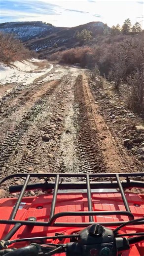 1994 Timberwolf Heading Down the Mountain #atv #quads #yamaha #fyp #riding #shorts #trailriding