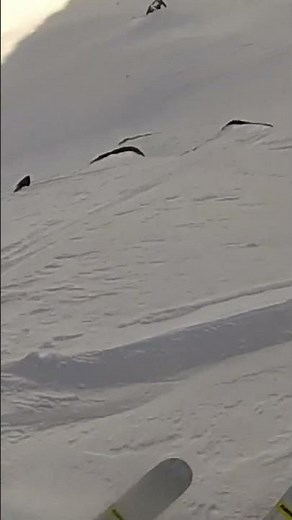 Powder freeride skiing POV