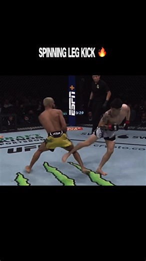 Brandon Moreno: A Rising Star in UFC MMA