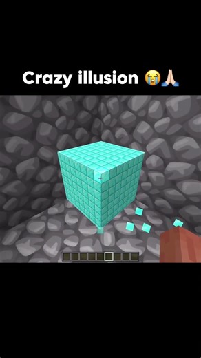illusion