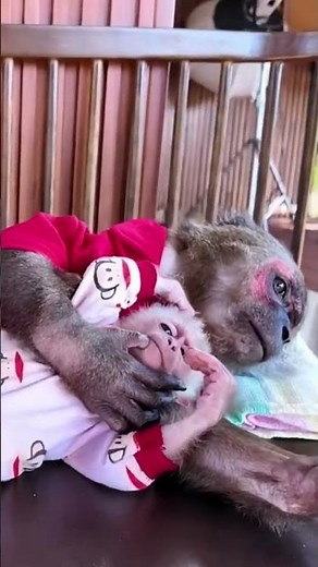Amazing Animal Moment Caught on Camera 😱 | Unbelievable Wildlife Video | Viral Clip 2026