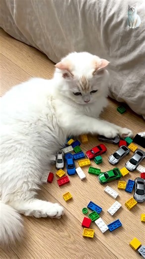 So Satisfying! 💙🐾✨ Blue Eye Cat Marble Reverse Loop #cat #reverse #shorts #viral #funny #cute