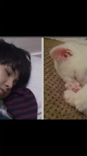 suga sleeping moments🥰🥰