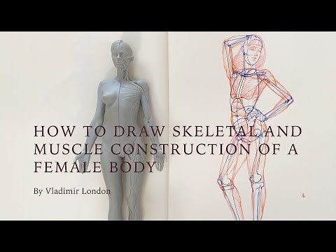 How to Draw Skeletal and Muscle Construction of a Female Body
