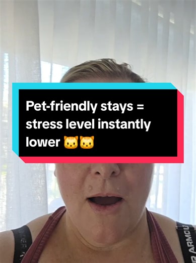 So grateful that Quest Accommodation is pet-friendly 🙏 When you’ve got three cats, this kind of flexibility is everything. Being able to stay somewhere with them is a relief. Thankful for places that understand pets are family 💛 #PetFriendly #QuestAccommodation #TravellingWithPets #CatMumLife #cats