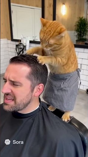 Sora 2 Cat Works as a Barber
