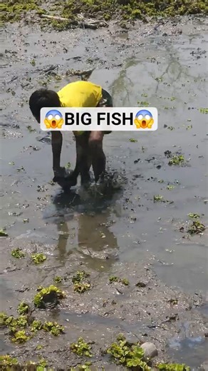 👉 Small Boys Catch Tons of Fish 😱 | Amazing Village Fishing👉 Kids Catch Huge Fish in River 🎣 |