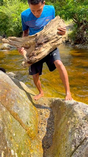 gold discovery process | traditional gold extraction process | super material containing gold | gold nugget $1500 in bedrock crack 😱‼️⛏️ amazing #puregold #goldmine #goldhunter #goldprocessing #goldextraction #goldminer #goldpanning #goldhunting | Otriadi Goldminning