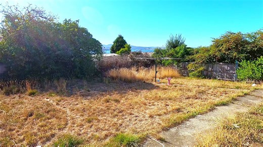 A heartfelt yard transformation for a single mom