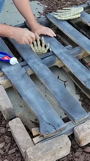 Grab some Dollar Tree gems 😱