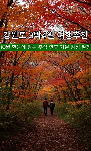 강원도 3박 4일 여행 추천 ! 한눈에 담는 추석 연휴 가을 감성 일정