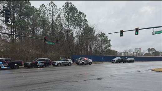 Skeletal remains found in woods near Perimeter Mall, police say