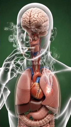 Effects of Smoking | 3D Cinematic Medical Visualization”