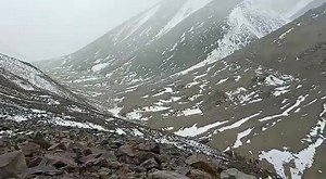 🐾UPDATE from India: The team is monitoring an area over 5,000m in altitude for snow leopard food- the spectacular argali! This survey is part of a snow leopard friendly pashmina project, where we work with pashmina herders to support herding practices aligned with wildlife conservation. . With the added value of wildlife-friendly activities, we suport finding a market where the pashmina products receive a premium price. One of the many wildlife-friendly activities is to promote livestock grazin