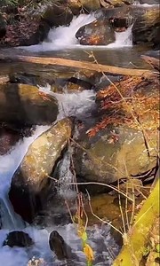 Chasing Waterfalls at Anna Ruby Falls, GA